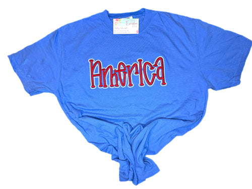 3D America Shirt